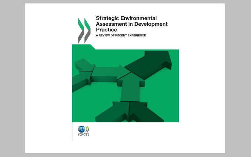 Strategic-Environmental-Assessment-in-Development-Practice