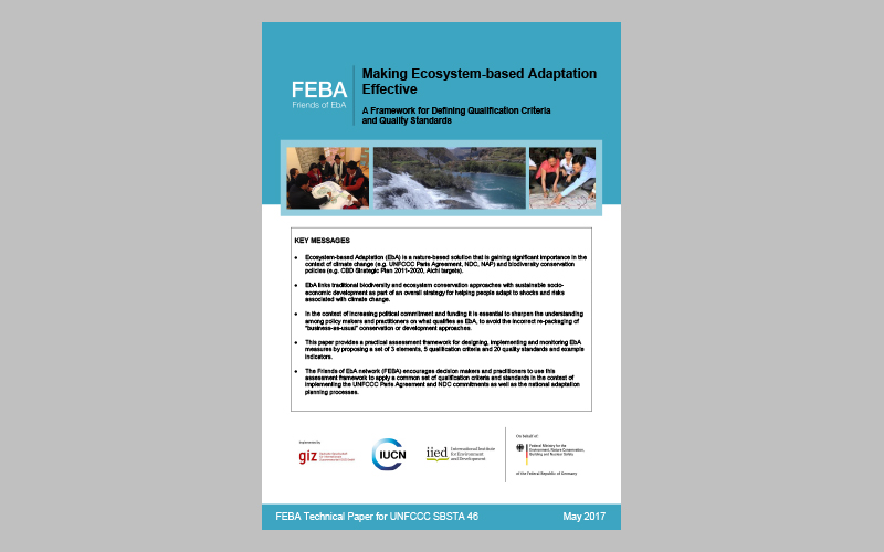 Making Ecosystem-based Adaptation Effective by FEBA (Friends of EbA)
