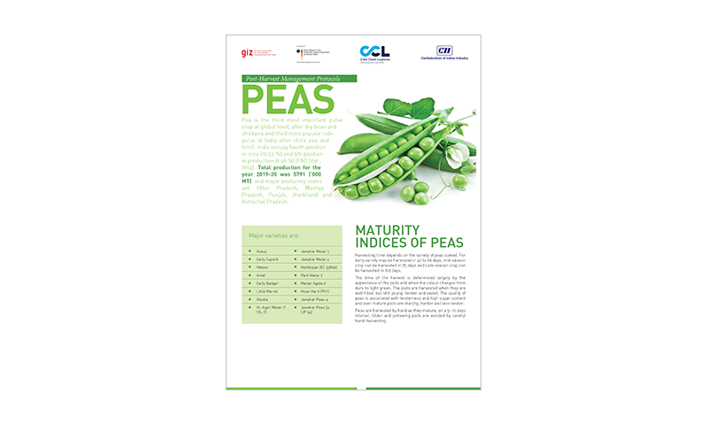Post-Harvest Management Protocols Peas