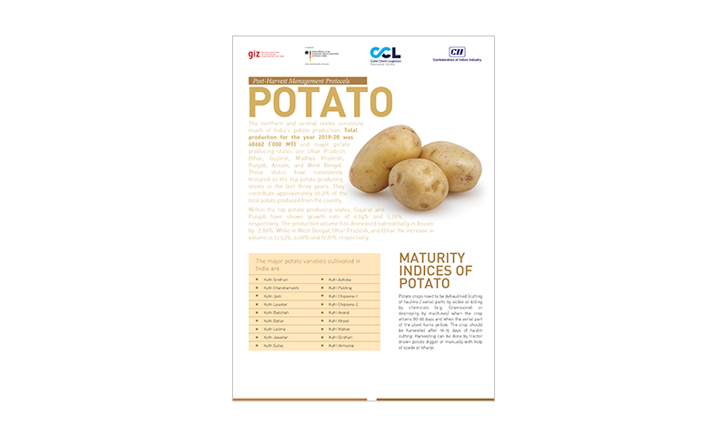 Post-Harvest Management Protocols Potato