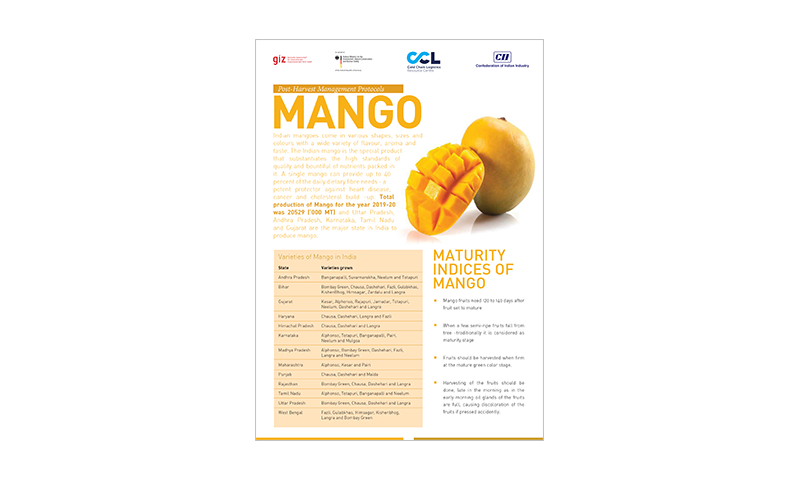 Post-Harvest Management Protocols Mango