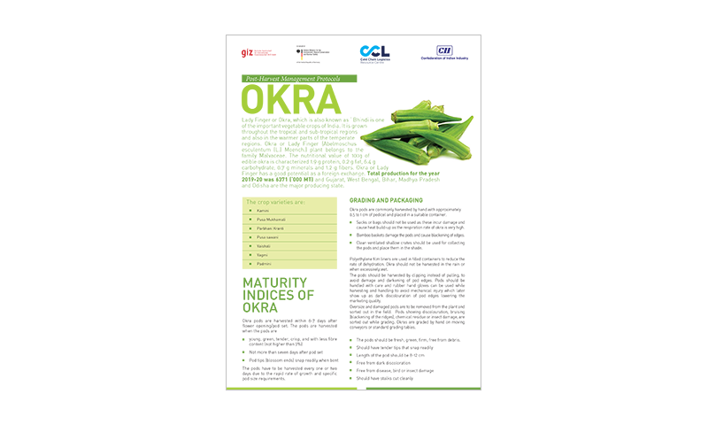 Post-Harvest Management Protocols Okra