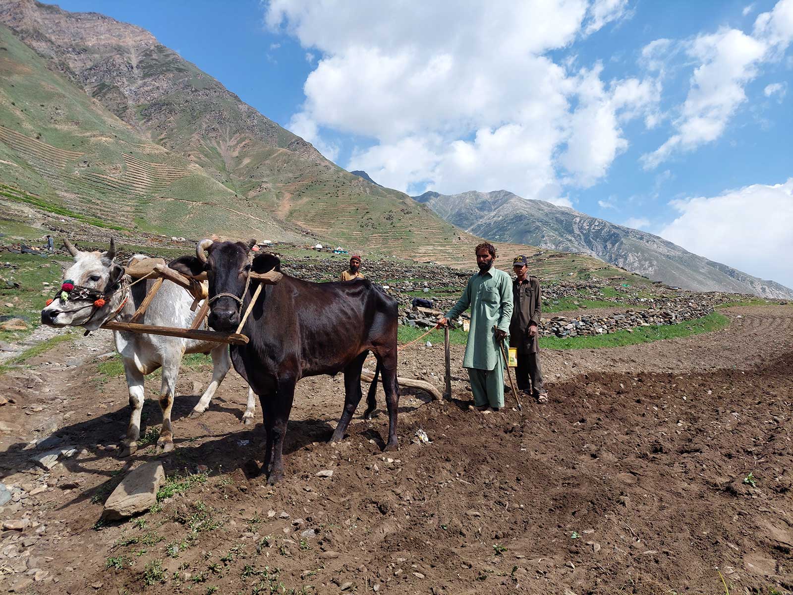 Over 40% of Pakistan’s labour force is associated with the agriculture sector and is highly vulnerable to climate change. [GIZ Pakistan]