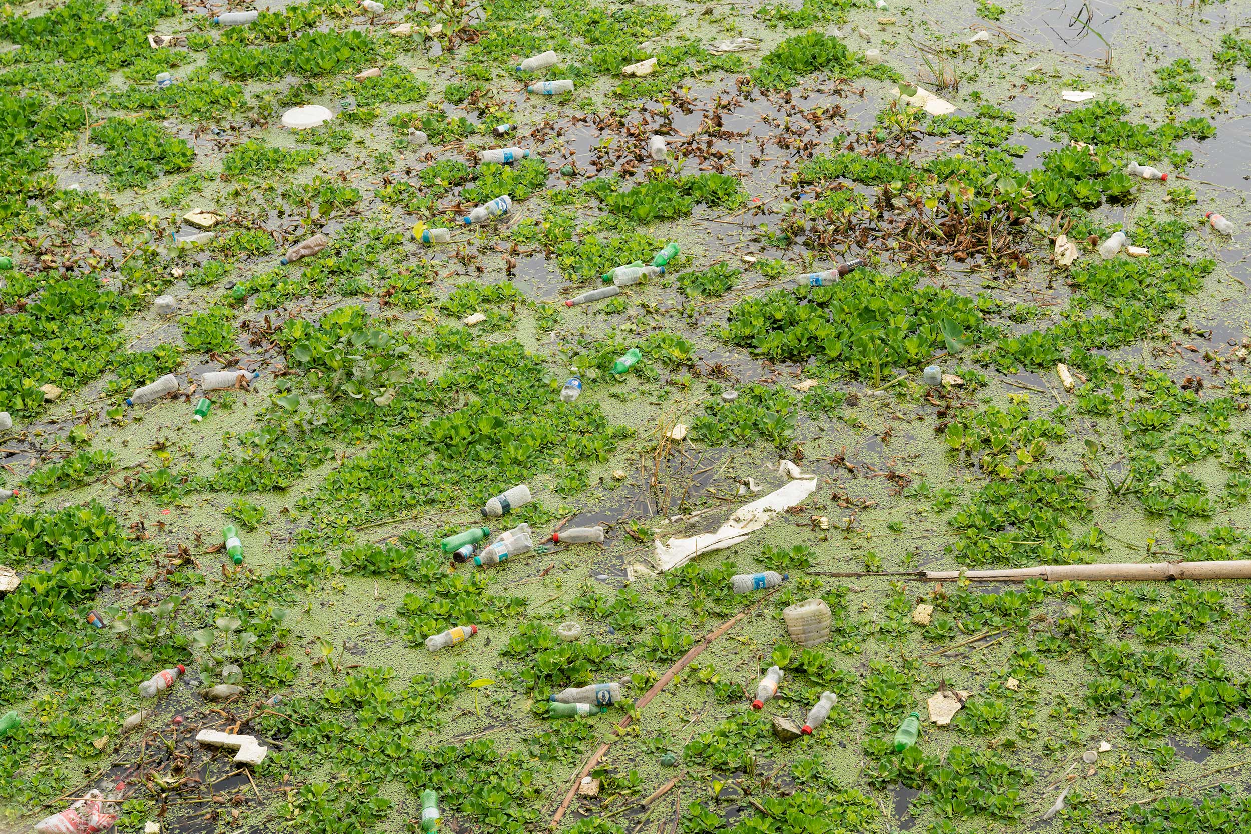Polluted surface water in Satkhira